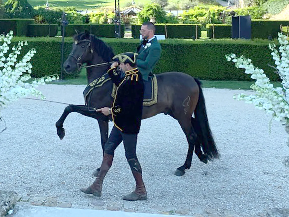 Cheval présenté en main par un cavalier en costume brodé d'or, le marié en selle