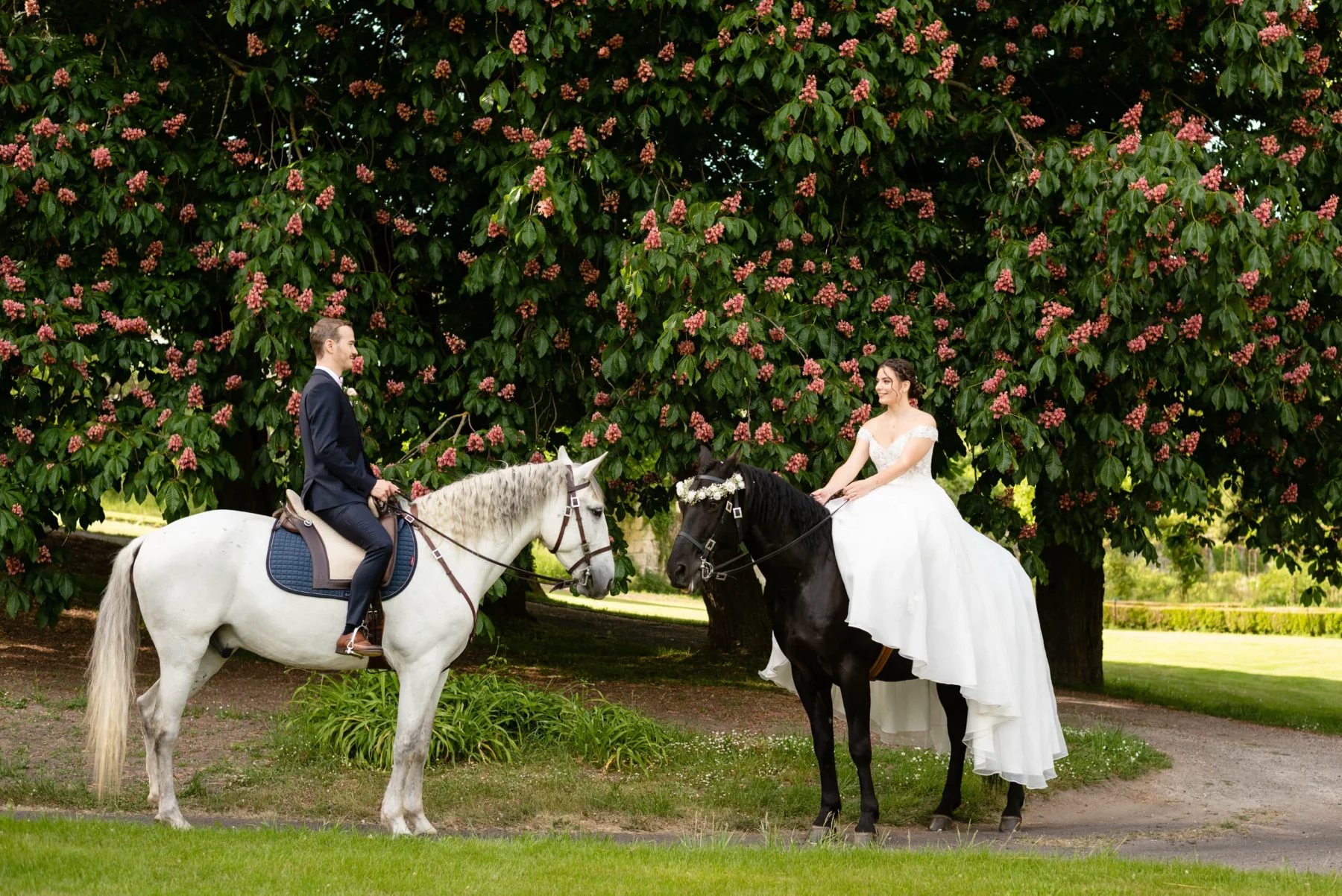 Les mariés à cheval, l'un sur un cheval blanc, l'autre sur un cheval noir, sous un marronnier en fleurs