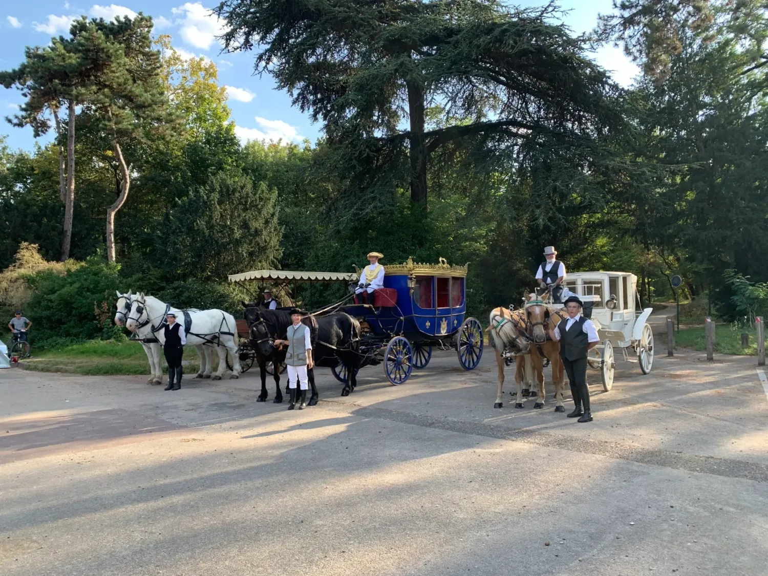 Trois attelages de mariage alignés : carrosse bleu, calèche blanche et chevaux blancs, cochers et grooms costumés
