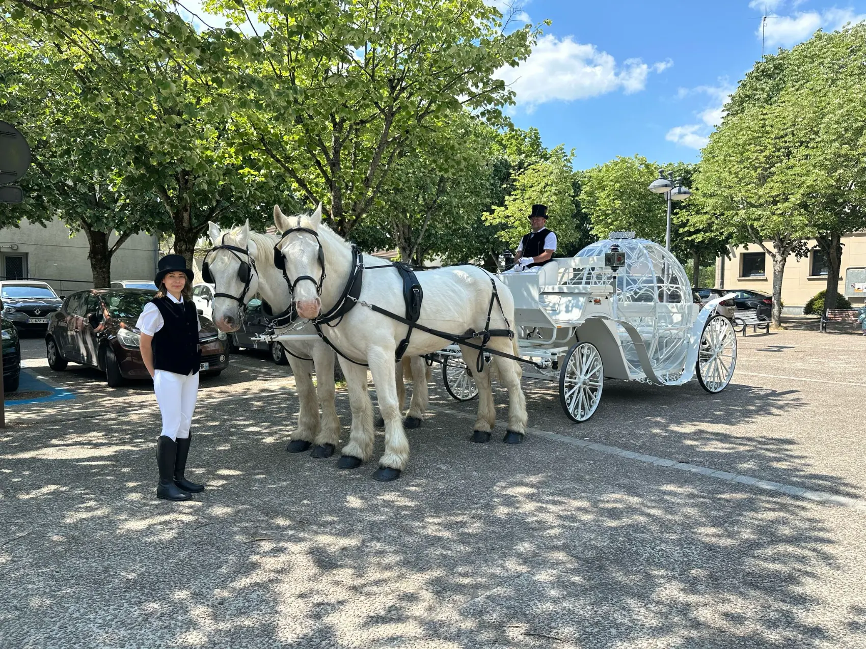 Carrosse citrouille de Cendrillon attelé à deux chevaux blancs avec cocher et groom en tenue — mariage en calèche