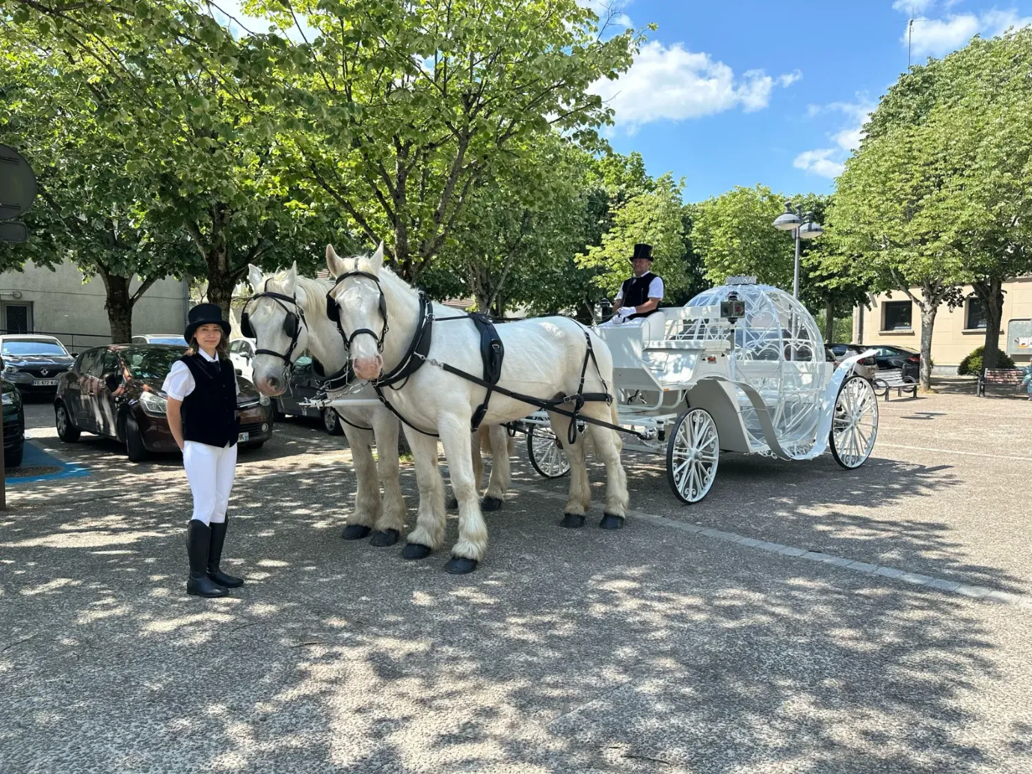 Carrosse citrouille de Cendrillon et deux chevaux blancs
