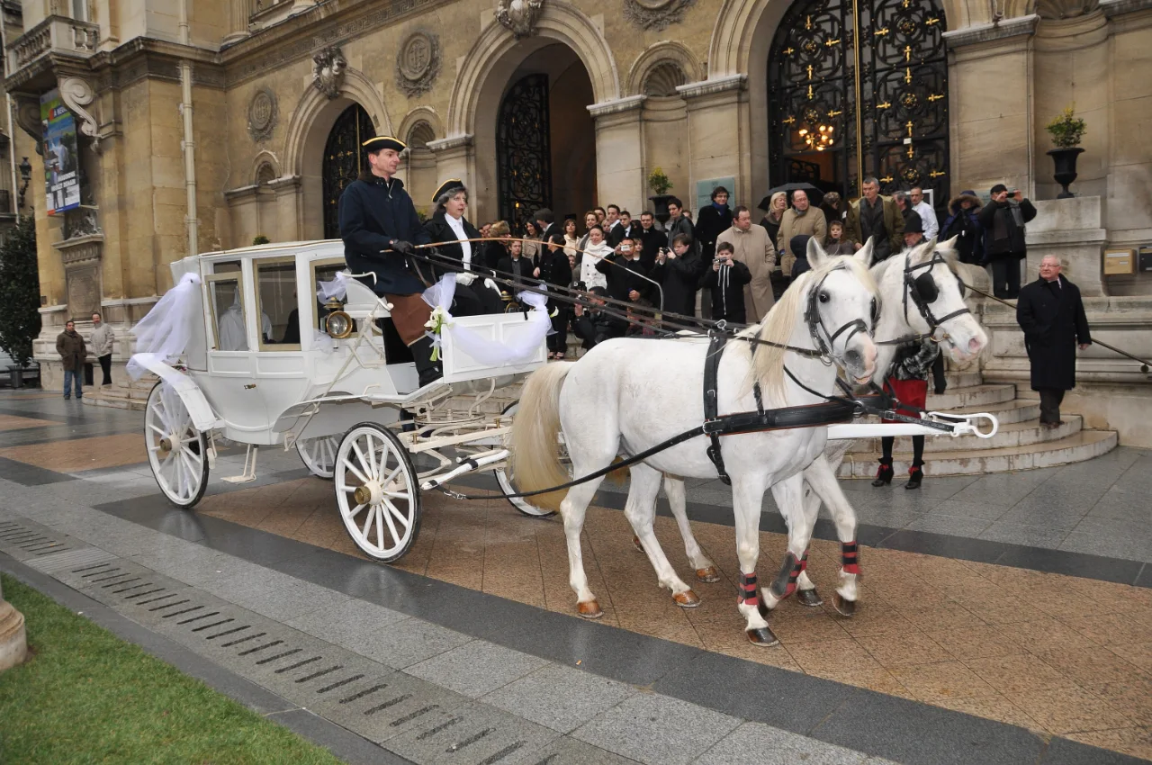 Calèche blanche et chevaux blancs devant un hôtel de ville