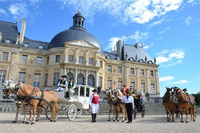 Cortège d'attelage de mariage en Brie