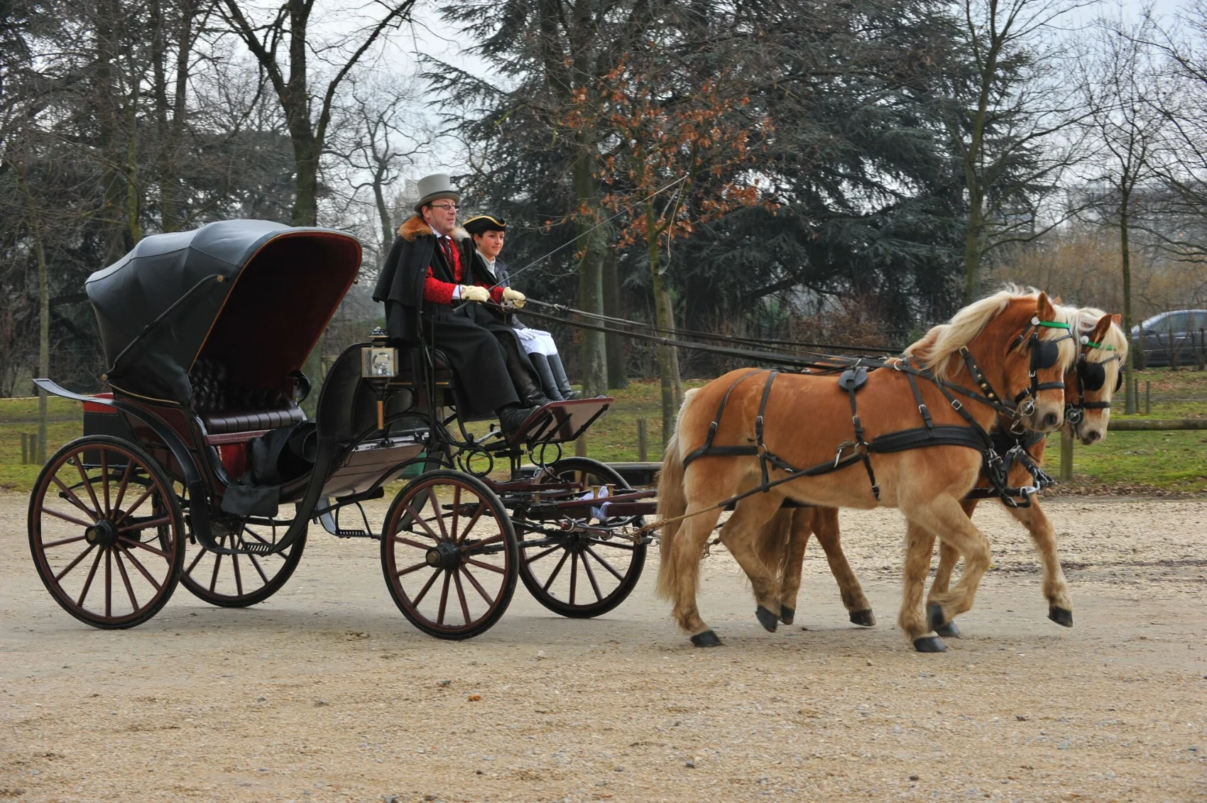 Cocher en haut-de-forme et cape, groom en tricorne, sur une Victoria-duc attelée à deux haflingers