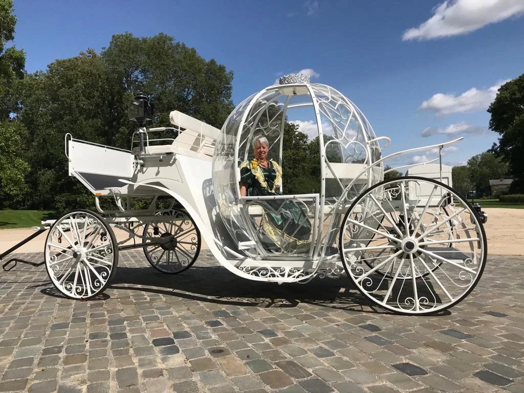Carrosse citrouille de Cendrillon attelé de deux chevaux boulonnais blancs
