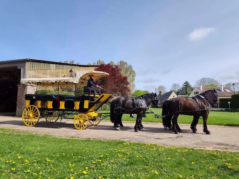 Grand break Pauline dix-huit places attelé de quatre percherons