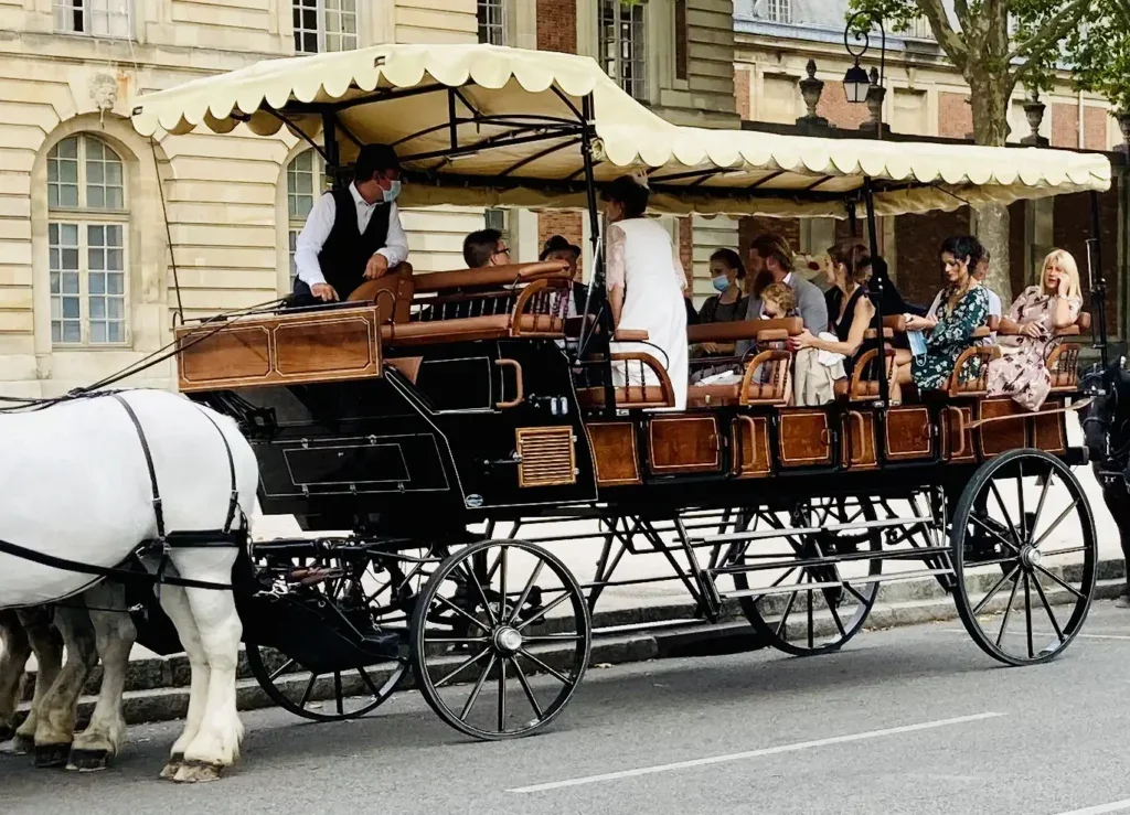 Grande calèche Pauline attelée de chevaux de trait boulonnais blancs