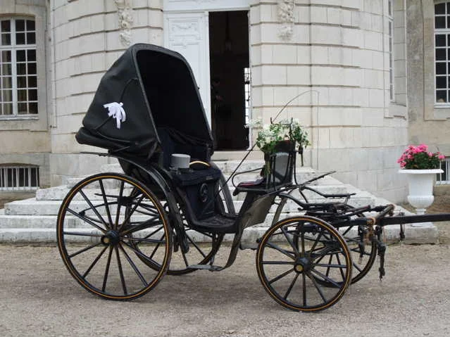 Petit duc de collection mené à la d'Aumont
