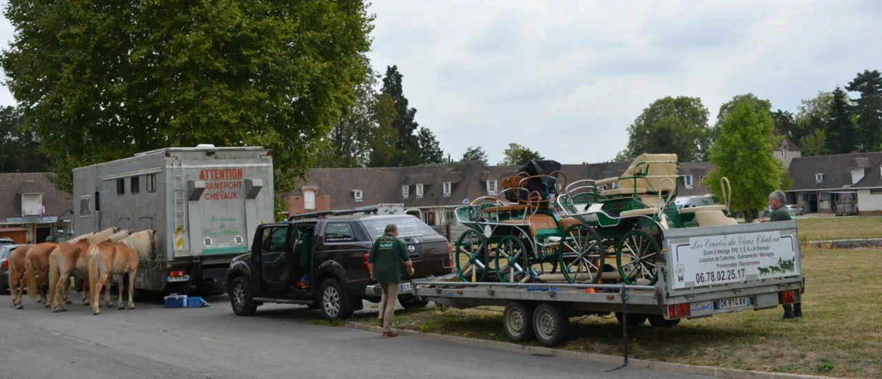 Pick-up et remorques chargés des calèches et des chevaux haflingers